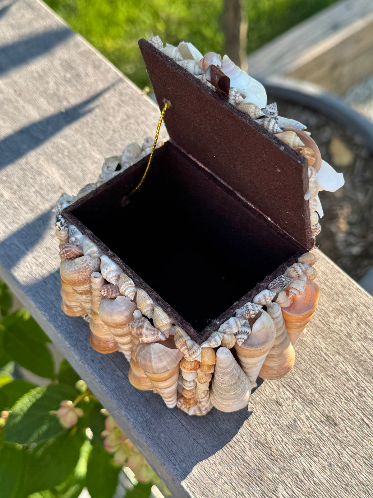 Vintage Sea Shell Box