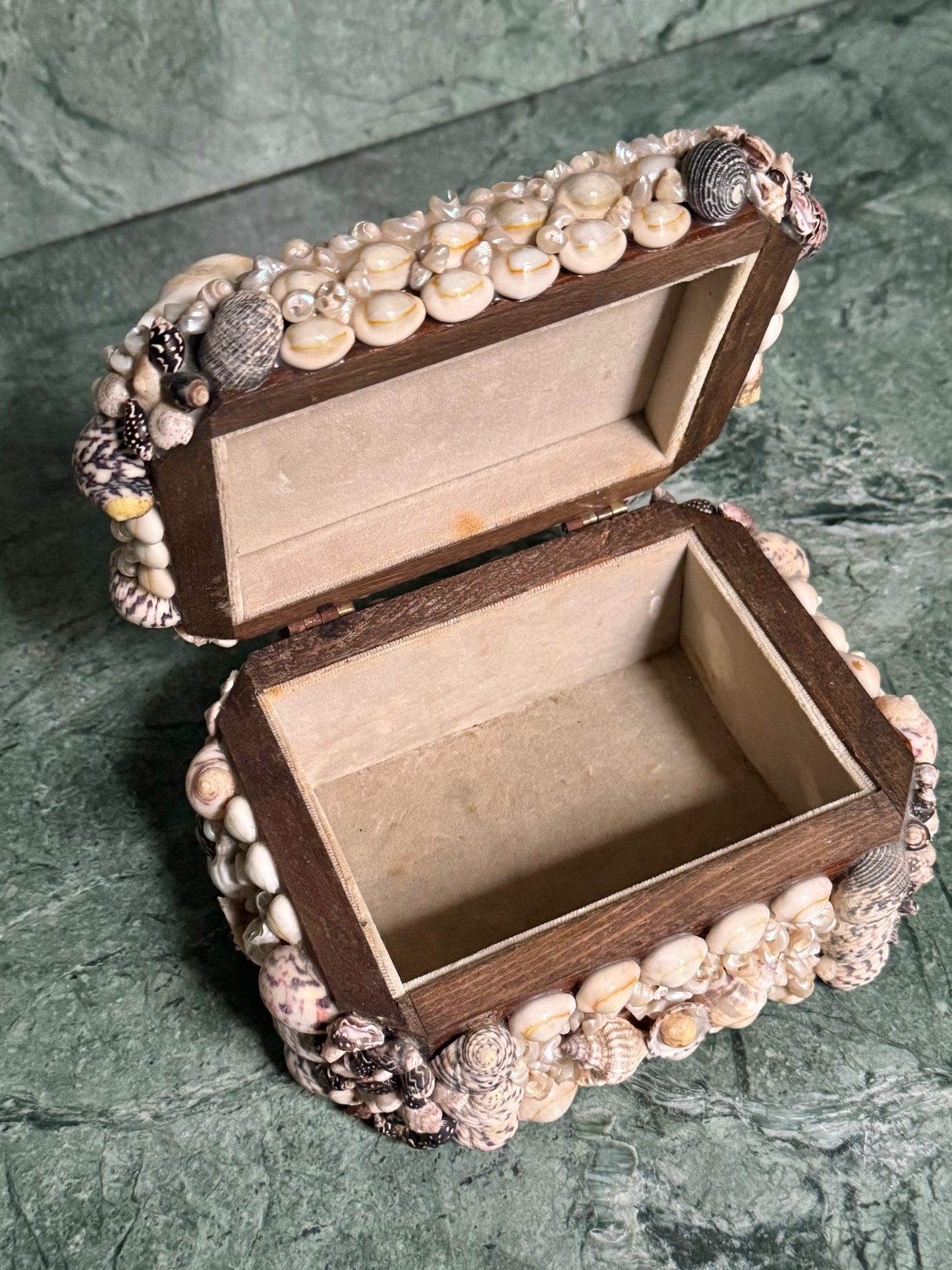 Wooden Shell Encrusted Box