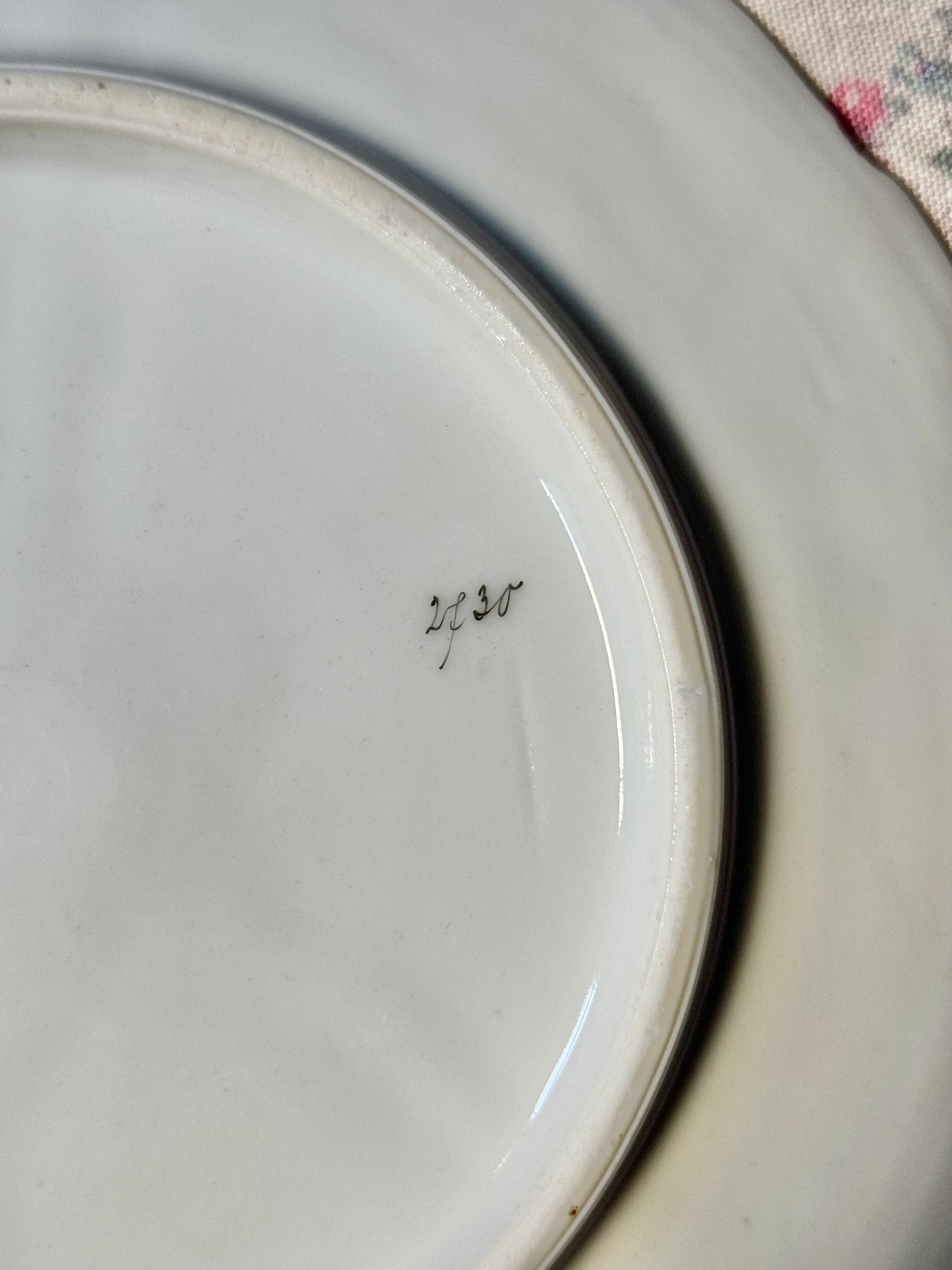 Blue Antique Oyster Plate