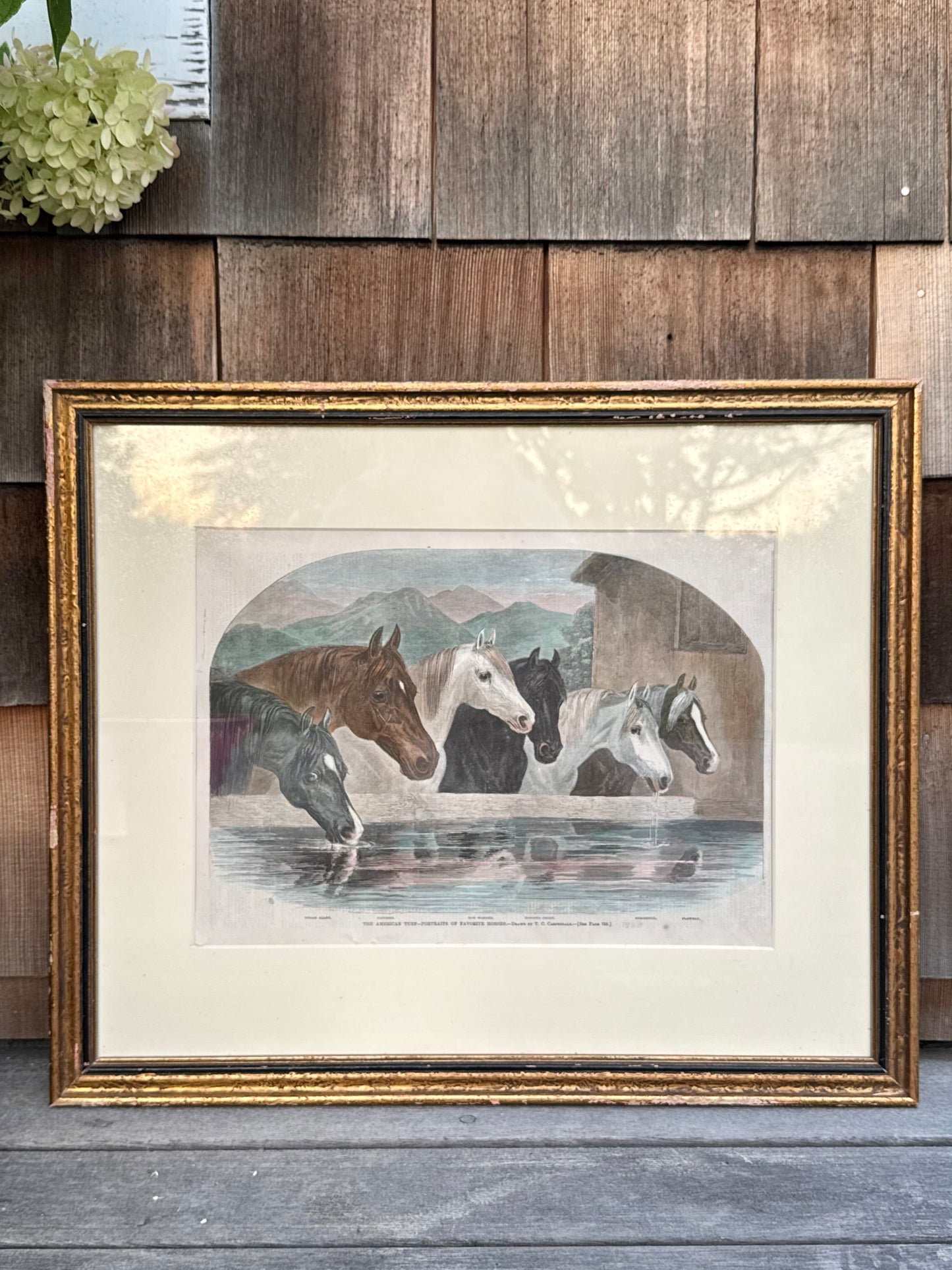 Antique Framed Horse Print