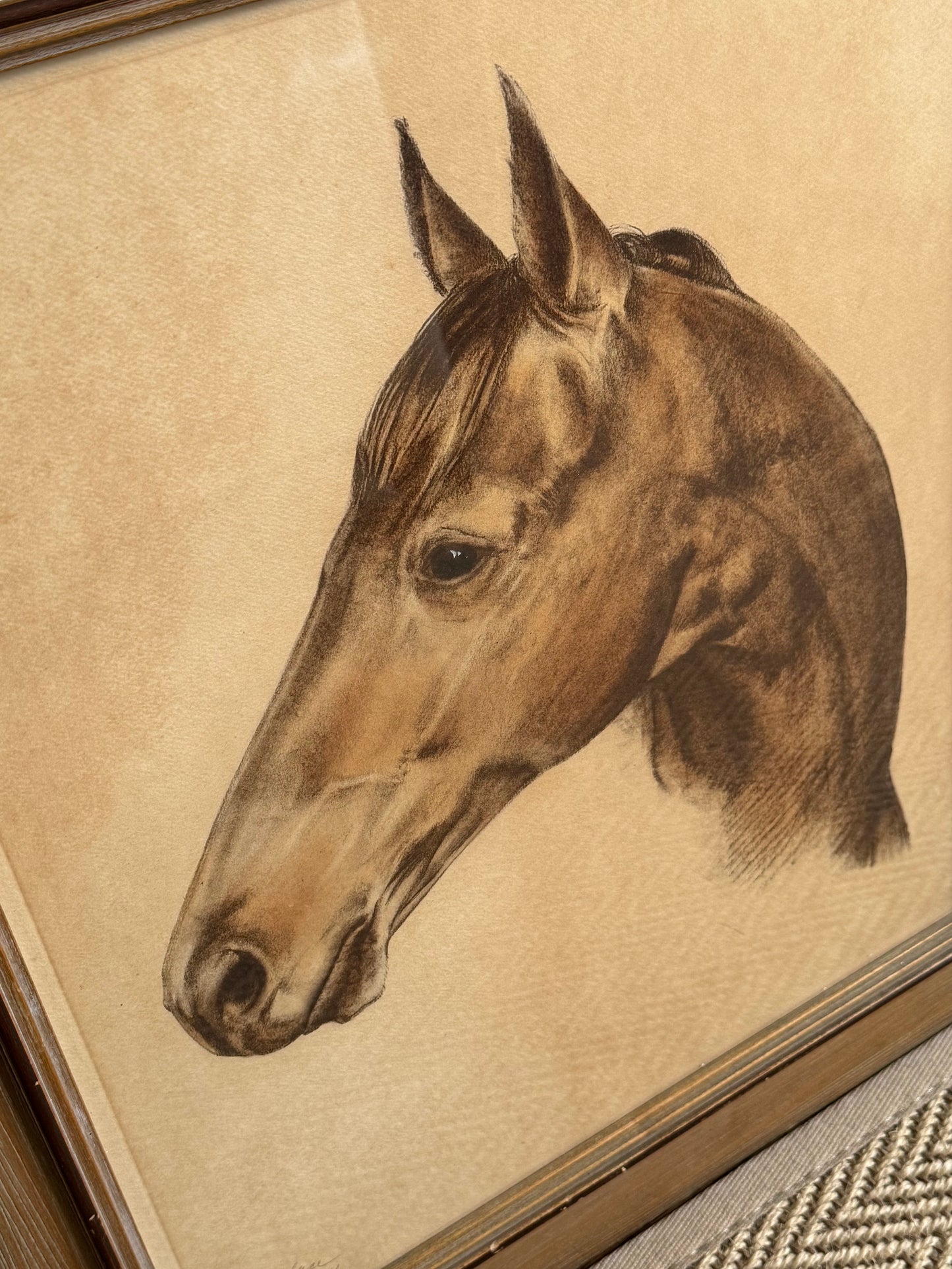 Framed Portrait of Seabiscuit