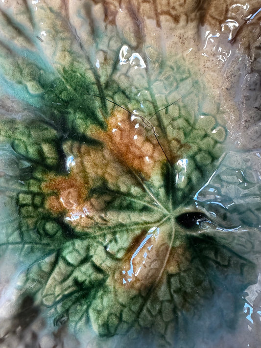 Etruscan Majolica Begonia Leaf