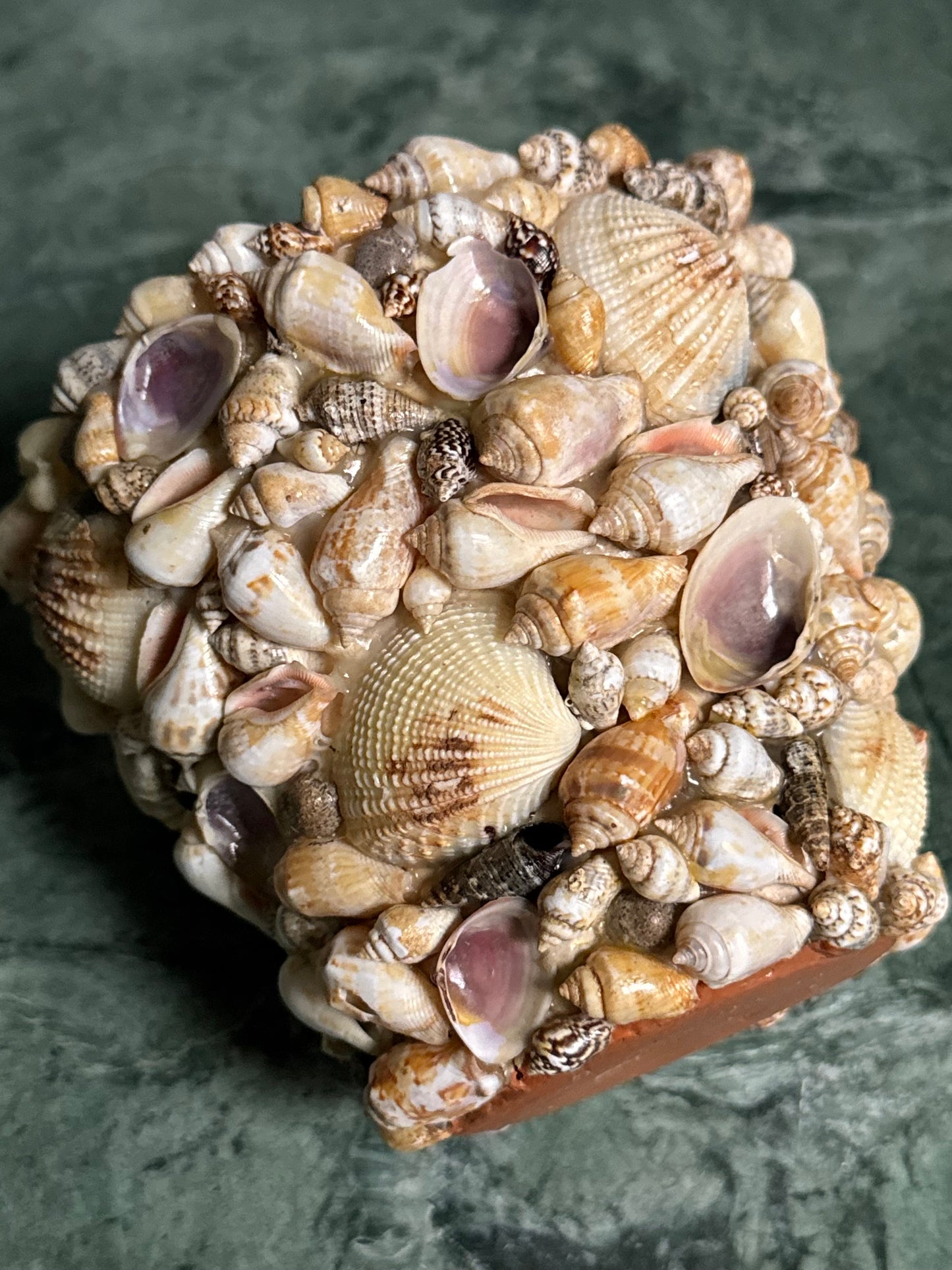 Seashell Encrusted Plant Pot