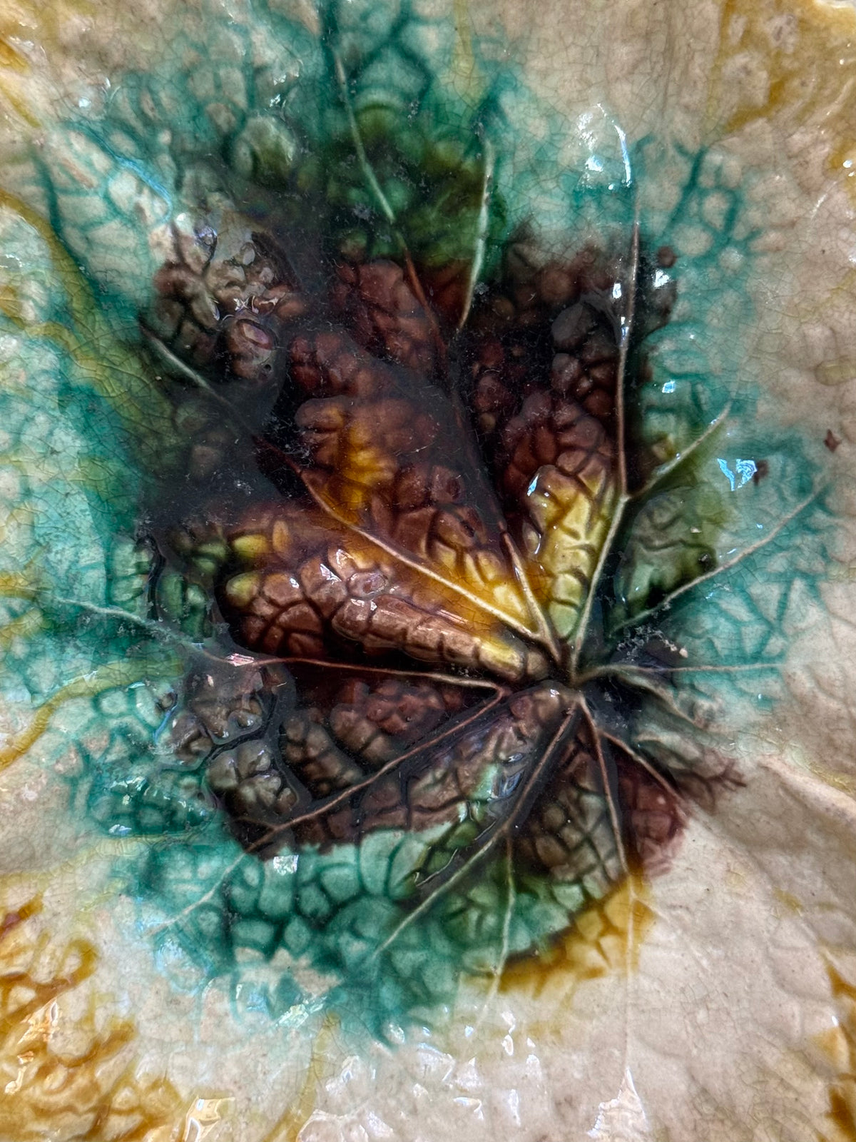 Majolica Begonia Leaf