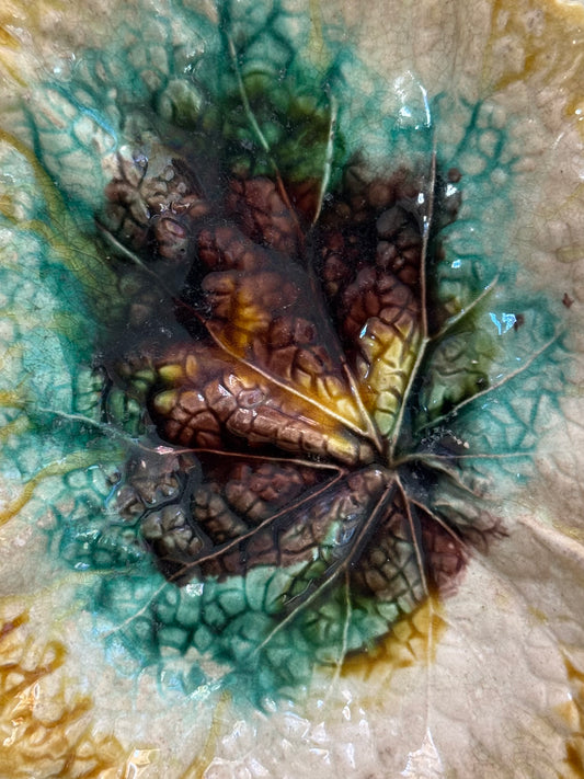 Majolica Begonia Leaf