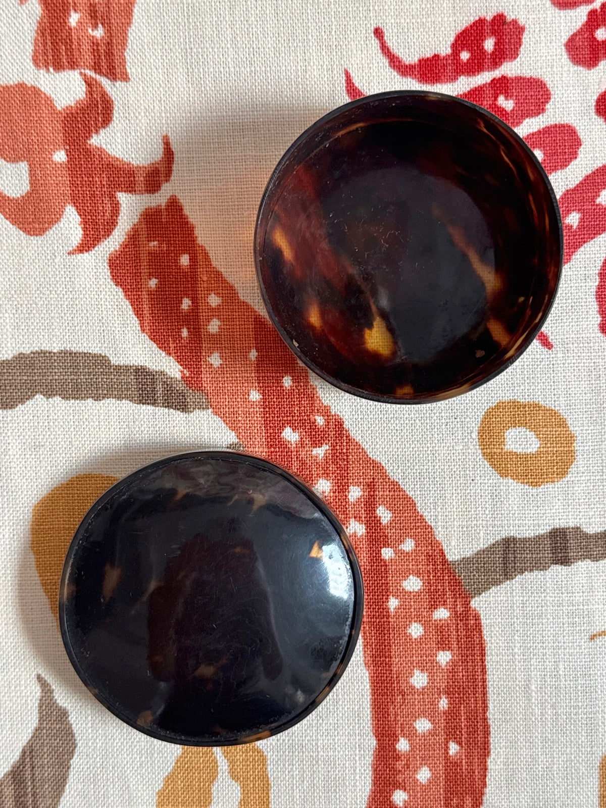 Antique Tortoise Snuff Box