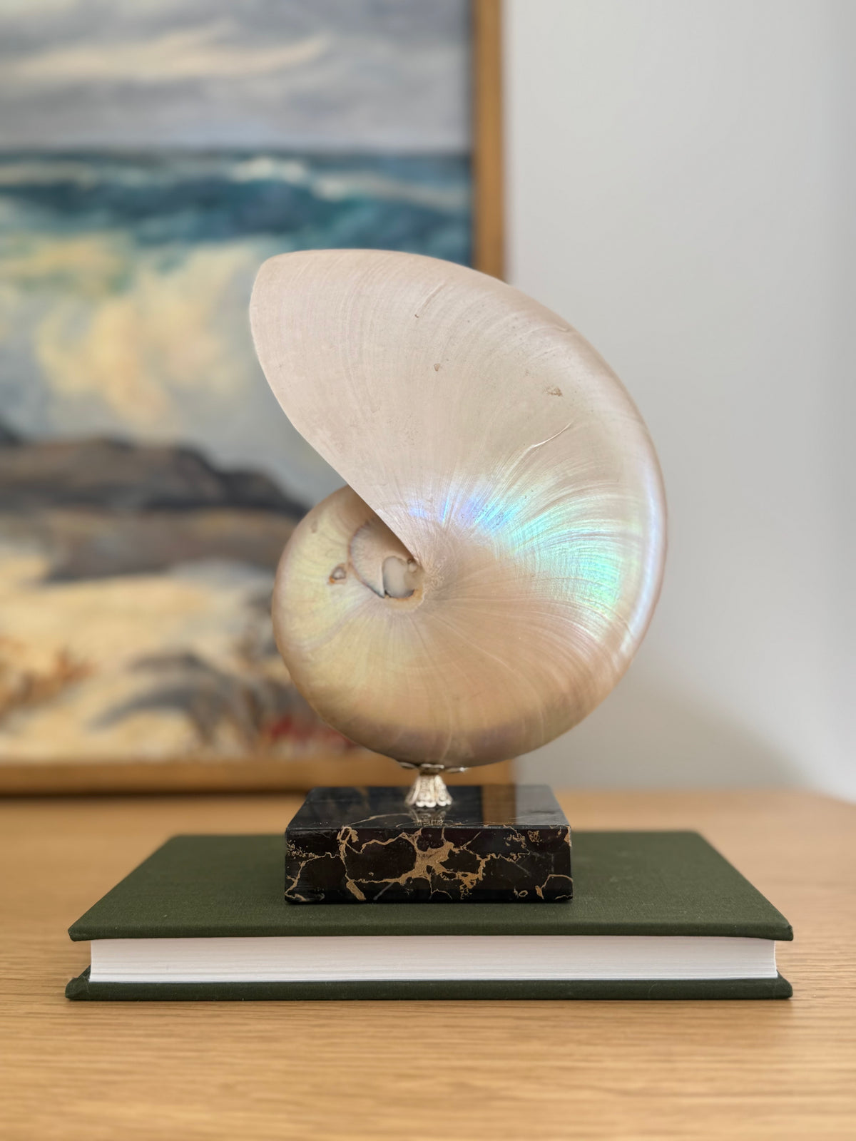 Nautilus Shell on Plinth