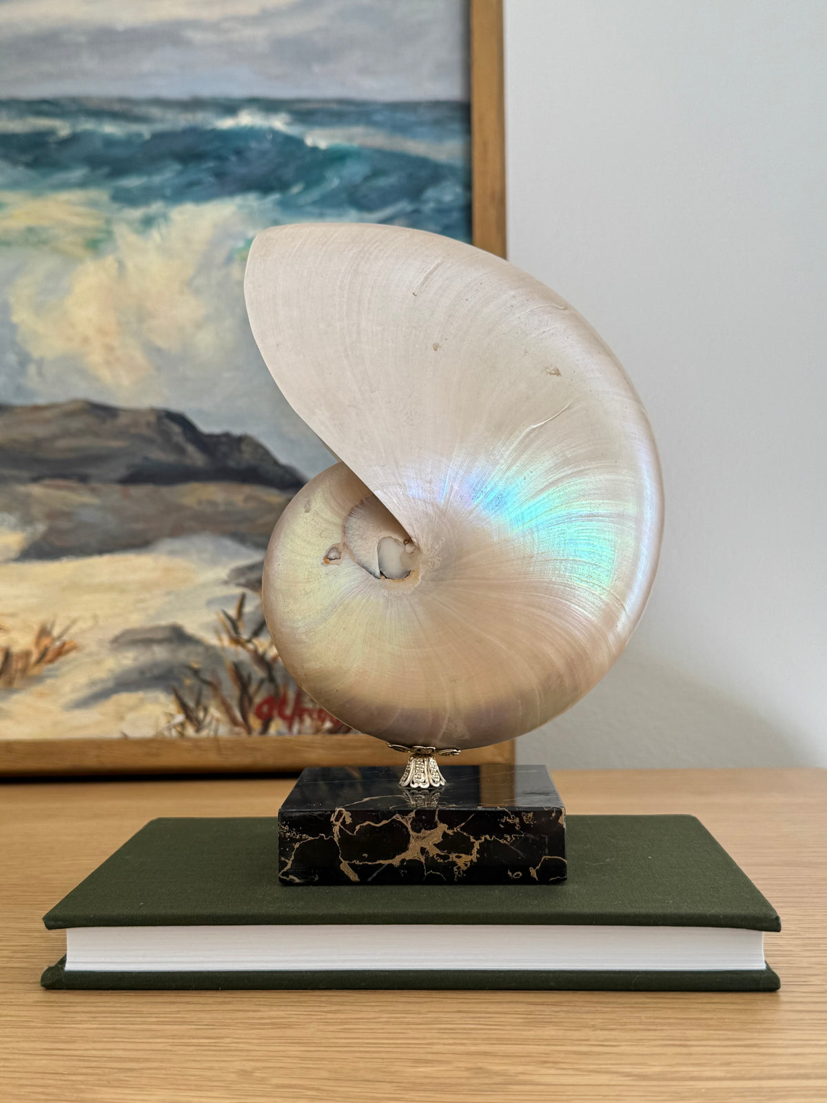 Nautilus Shell on Plinth