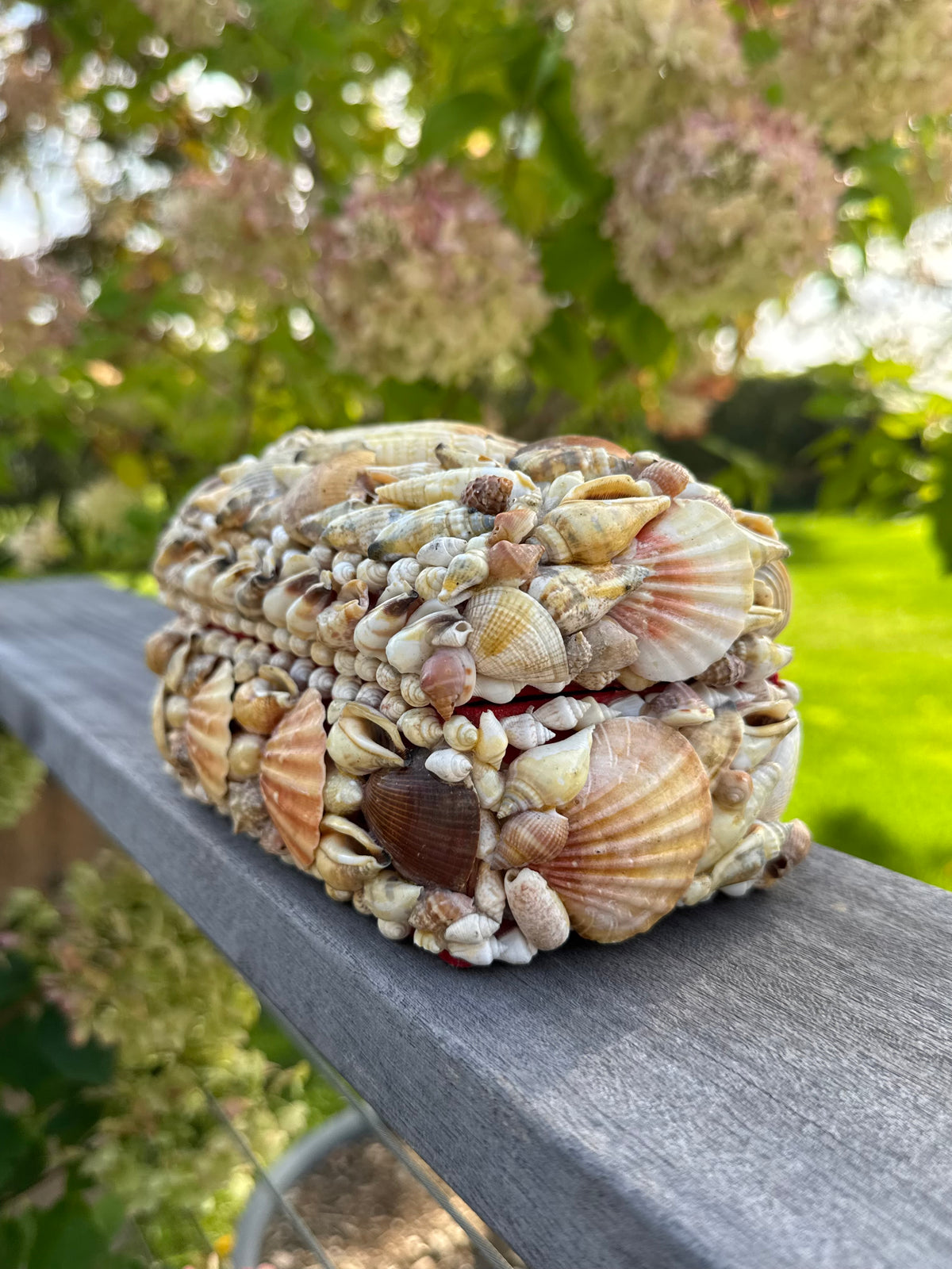 Vintage Sea Shell Box