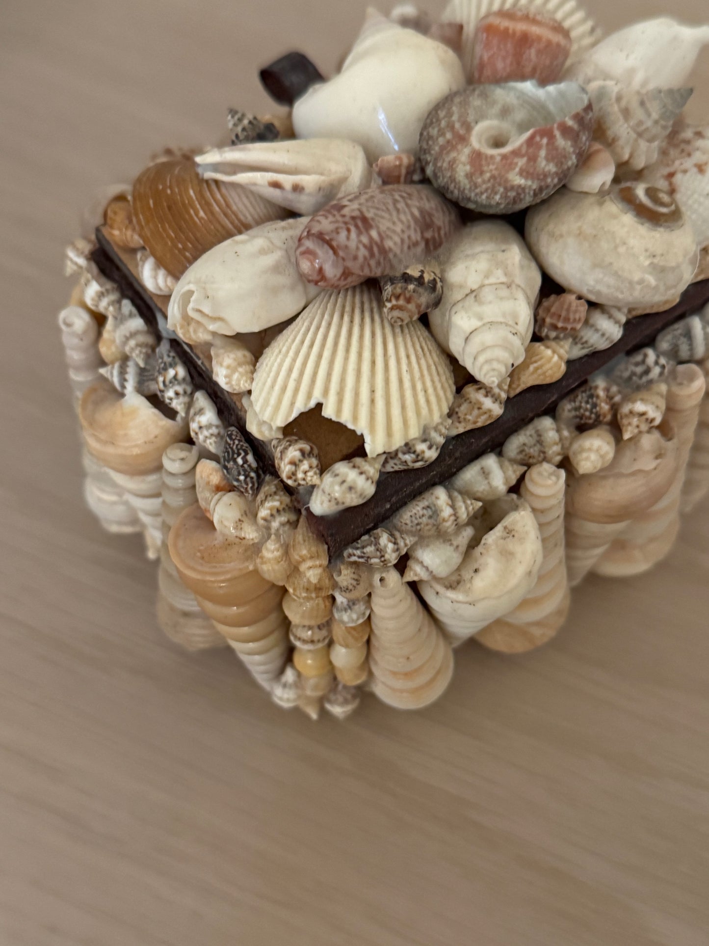 Vintage Sea Shell Box