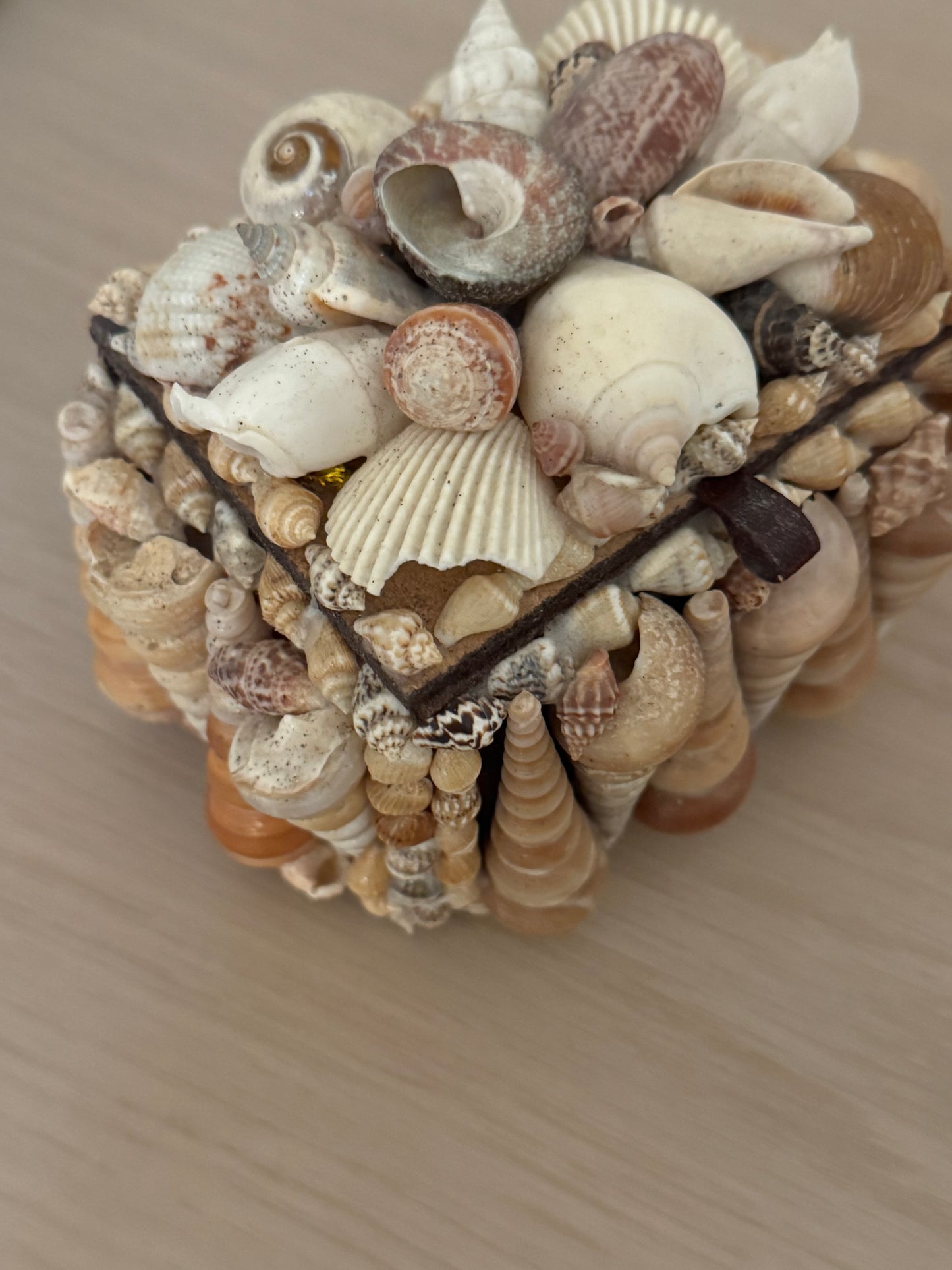 Vintage Sea Shell Box
